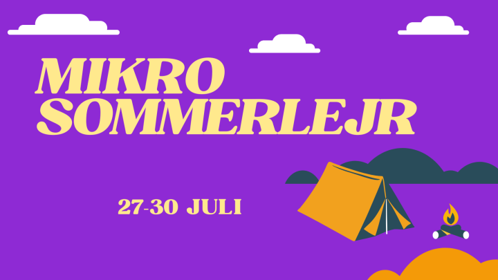 Mikro sommerlejr cover