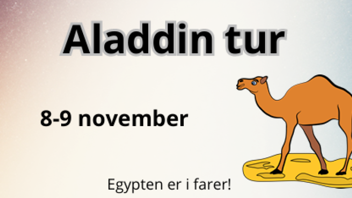 Aladdin tur
